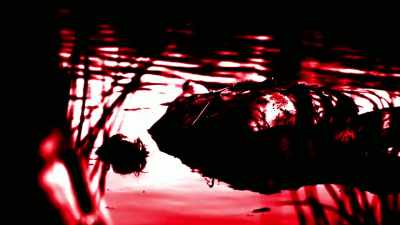 HE RUSHES TO CALL 911. - Bloodlands