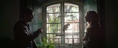 He said, household pets
finally communicate with man. - Salt and Fire