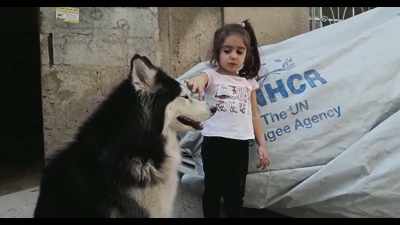 He said that I can pet him here, - Dogs