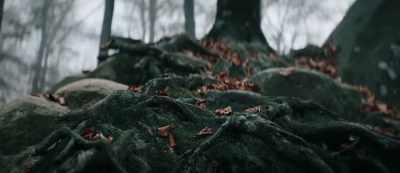 He said I have to find
some Perun stone. - The Stronghold