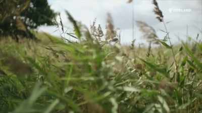 He said to me
that if it was his property, - The Bambers: Murder at the Farm