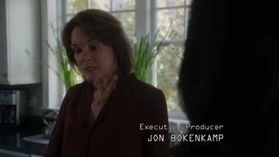 He said State was working - The Blacklist: Redemption