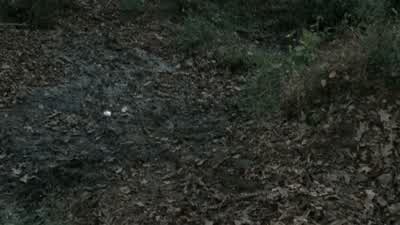 He saw people for who they were. - The Walking Dead