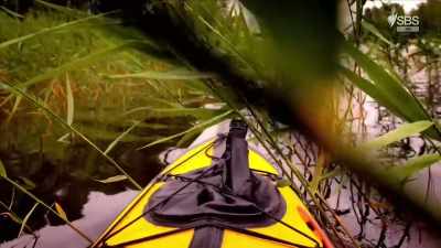 He saw this special bone
sticking from the ground. - Curse of the Ancients with Alice Roberts