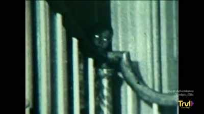 He says we're gonna talk
about the demons, - Devil's Road: The True Story of Ed and Lorraine Warren