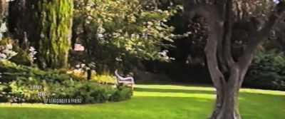 He says, "you know the thing
about olive trees?" - Mystify: Michael Hutchence
