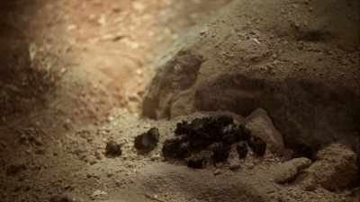 - He sees goat
droppings in the sand. - The UnBelievable with Dan Aykroyd