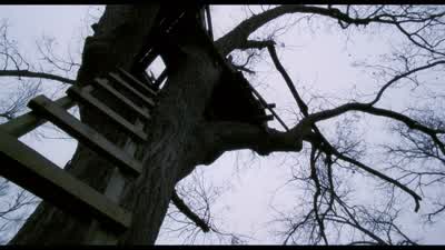 He sends flies to wounds that He should heal. - The Tree of Life
