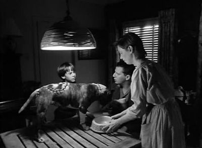 He should go out - Frankenweenie