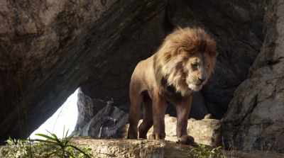 He slammed his head
into trees, - The Lion King