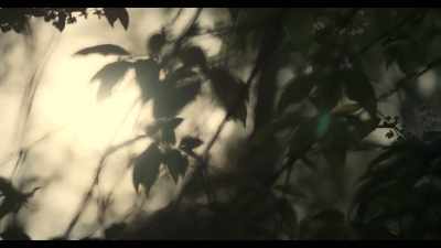 He sleeps out of doors, - The Last Czars