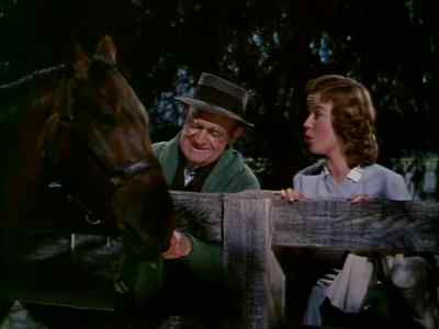 He is small a full hand below the rest - The Story of Seabiscuit
