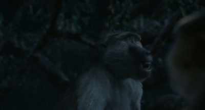 He speaks to the insects,
converses with the moon. - Mufasa: The Lion King