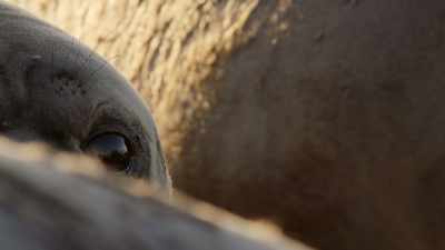 ...he spots - Our Great National Parks