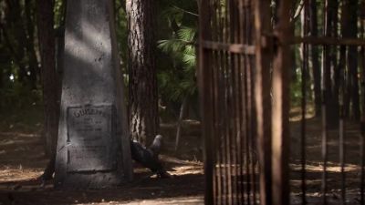 He stopped talking. - The Vampire Diaries