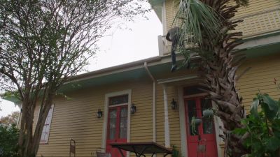 :
He stopped. - NCIS: New Orleans