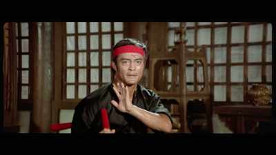 'He swings and waves it
with a dextrous, flashy blur, - The Final Game of Death