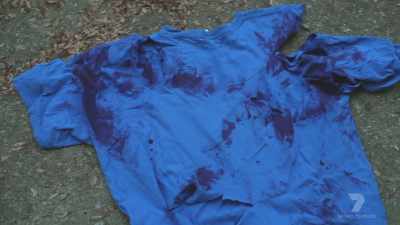 "He talks about
a blood-stained shirt - The Real Manhunter