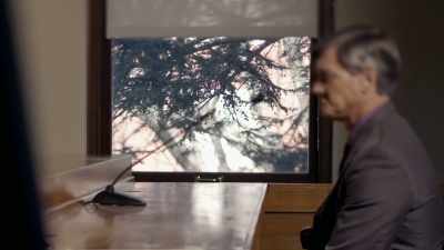 HE TELLS THE COURT
THAT, INDEED, - Chandra Levy: An American Murder Mystery