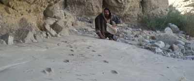 He tends to his flock
like a shepherd. - 40: The Temptation of Christ