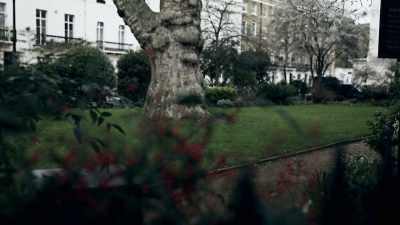 He had them followed - The Murder of Sandra Rivett