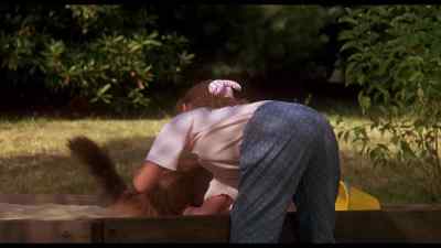 He threw me in the big litter box - Homeward Bound: The Incredible Journey