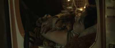 He had tigers, - Tigers Are Not Afraid