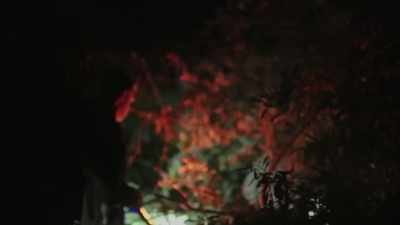  He told me it was under thi
 perimeter wall - Expedition Bigfoot