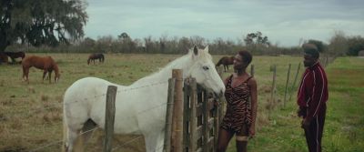He told me nothing scares a white man more - Queen & Slim