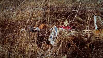 HE TOLD US THAT
FROM THE AGE OF 5, - The 93 Victims of Samuel Little