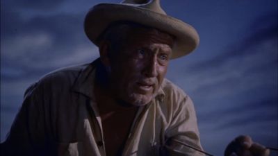 He took the bait like a male - The Old Man and the Sea
