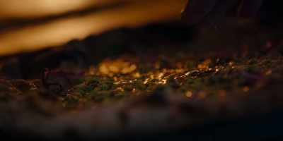 He took those things
that he learned working with David, - Chef's Table: Pizza
