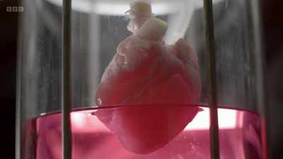 He tricked them into becoming
embryonic stem cells - - The Human Body: Secrets of Your Life Revealed