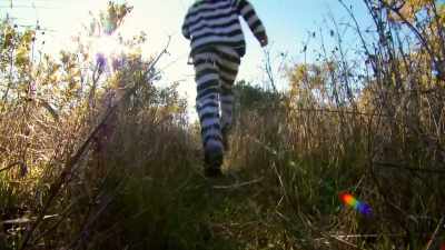HE TRIED ZIGZAGGING
AND DOUBLING BACK... - Mythbusters Jr.