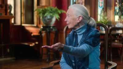 He turned his head away. - Stories of a Generation - with Pope Francis
