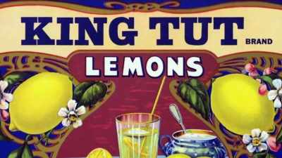 He was used to sell lemons
in California... - Tutankhamun: Secrets of the Tomb