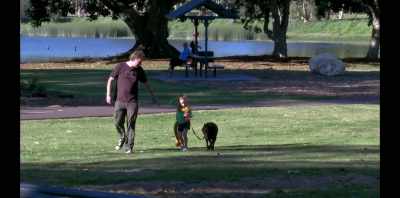 He was very, very close
to my daughter. - Koko: A Red Dog Story