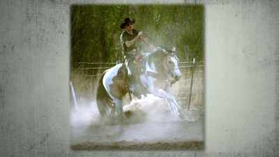 He wanted to ride bulls. - Buried In The Backyard