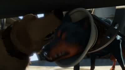 He wears the cone of shame! - Up