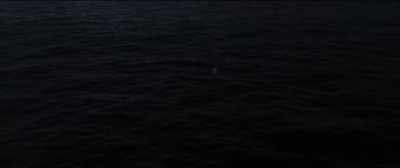 He wears this
rotting bird around, - Dauntless: The Battle of Midway