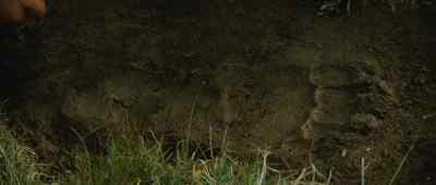 He weighs at least 750 kilo. - The Bear