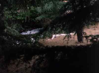 He went into the water here. - The Six Million Dollar Man