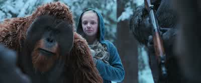 He will die of those wounds. - War for the Planet of the Apes