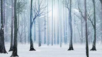 "He will know I haven't
any stockings, - A Frozen Christmas 2