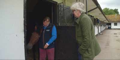 He won the other day and he's
due to run again this weekend, - Quintessentially British