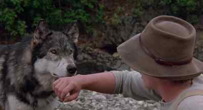 He won't hurt me. - White Fang