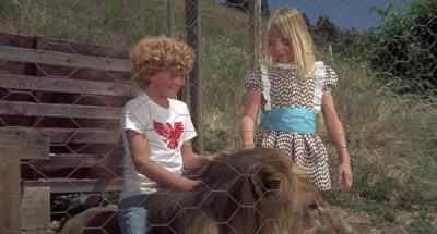 He won't hurt you. Pet him. - Napoleon and Samantha