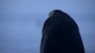 He won't see his partner again - Dynasties