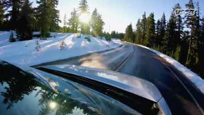 He would take us to Oregon - I Was a Teenage Felon
