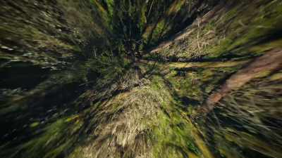 Heading high, - Super/Natural